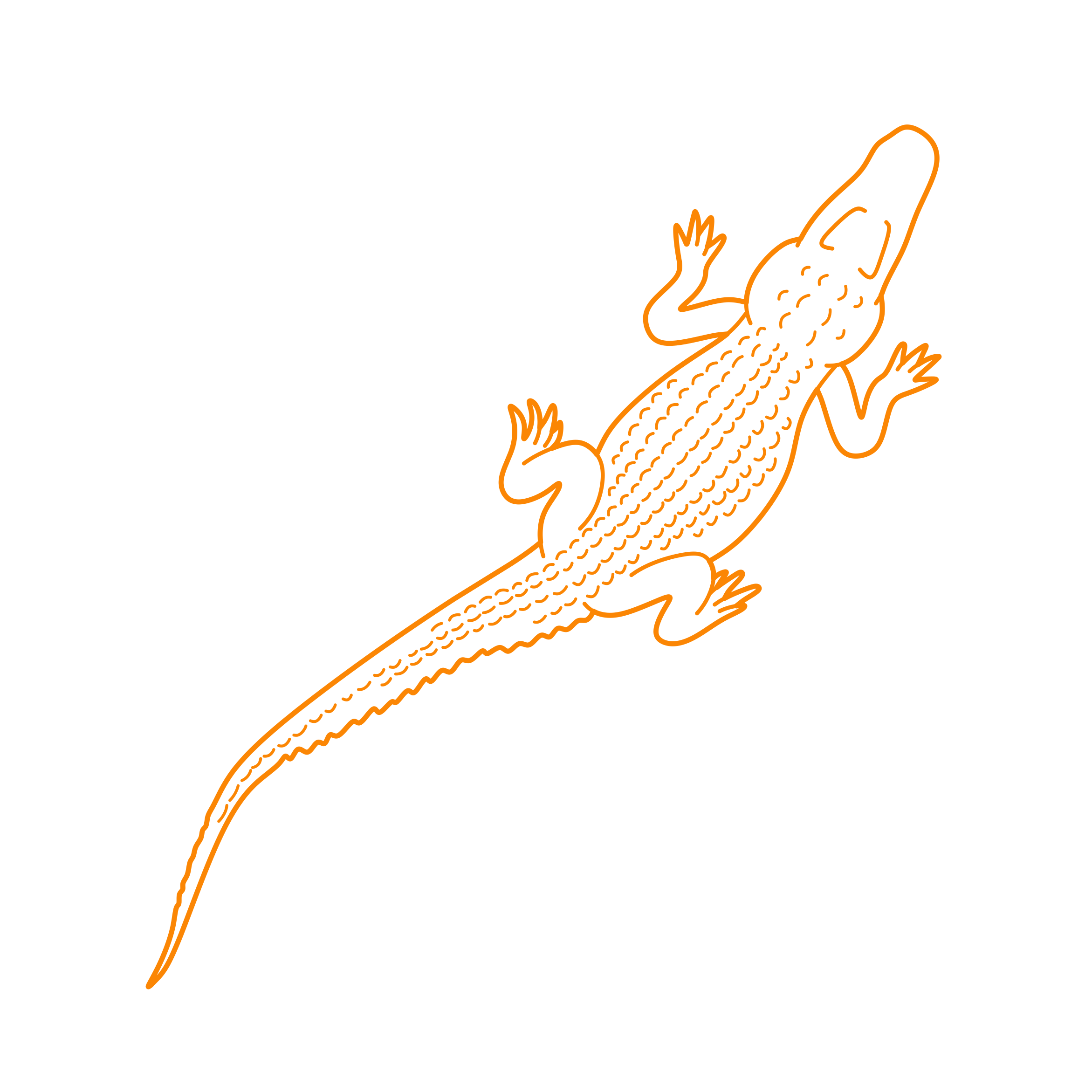 Animals Crocodilians American Alligator Editable Svg Line Art Free Vectors